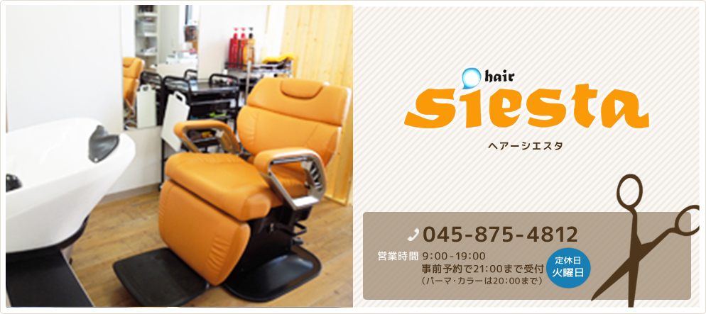 hair siesta